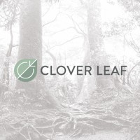 Clover Leaf Solutions